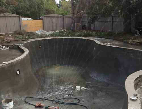 Free Form Concrete Pool